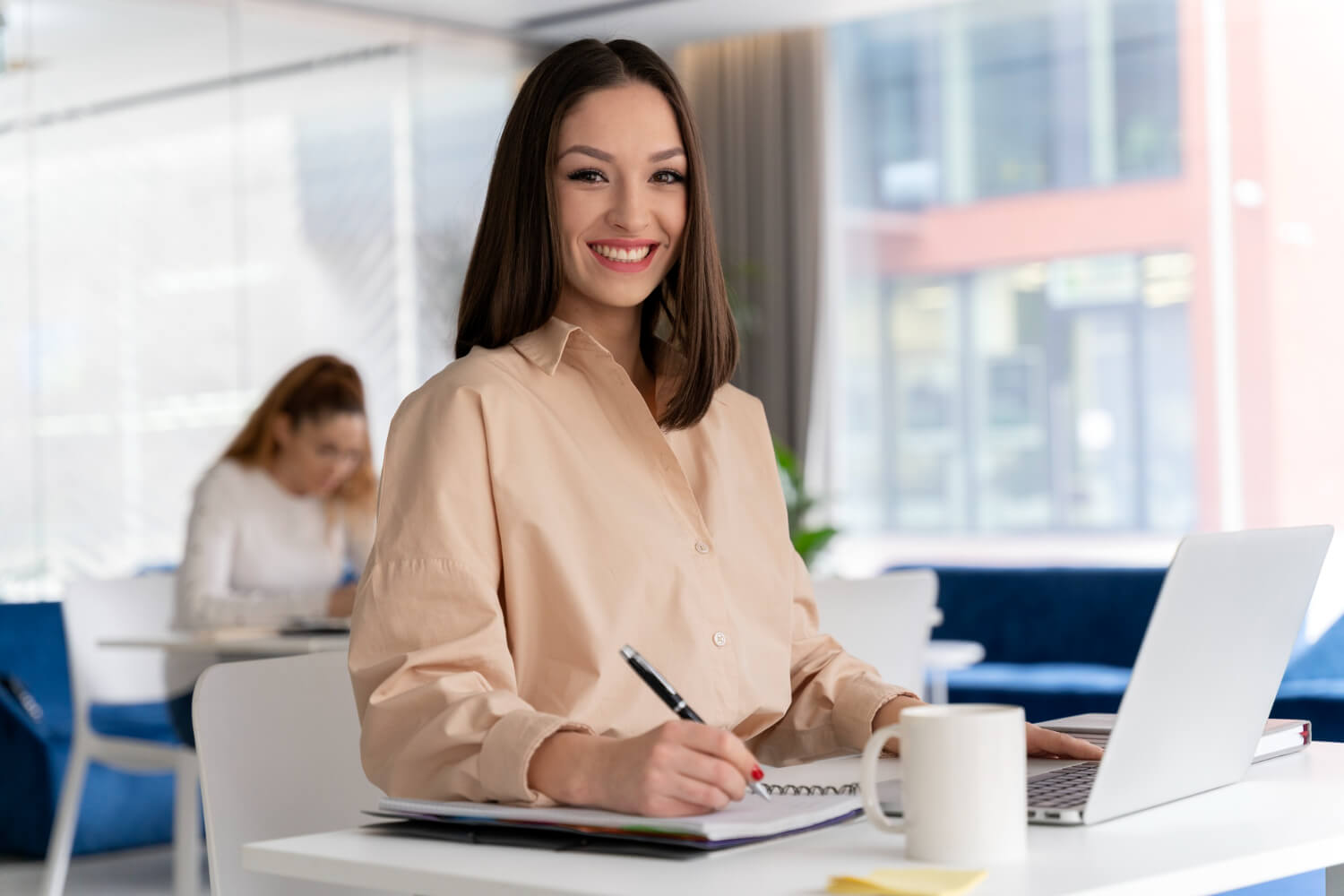 Essay Writing Help